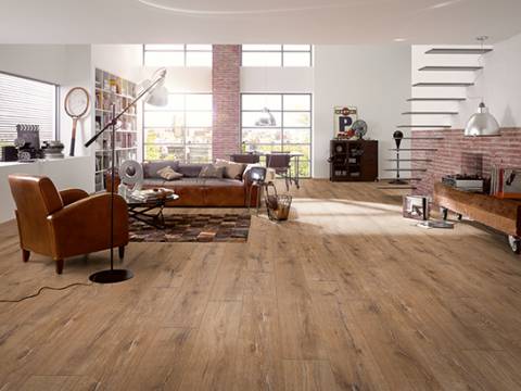 aranzacja dab barbarossa